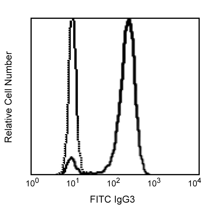 FITC Rat Anti-Mouse IgG3(R40-82)