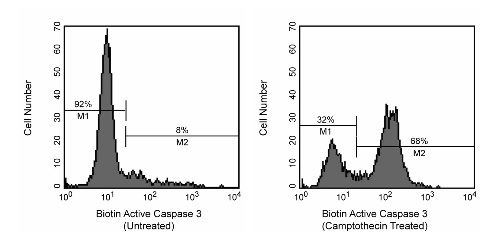Biotin Rabbit Anti- Active Caspase-3(C92-605)