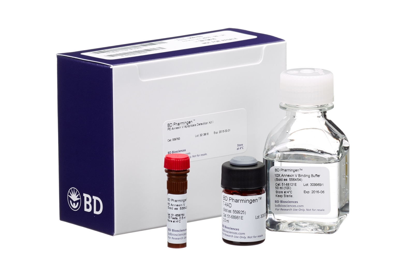PE Annexin V Apoptosis Detection Kit I