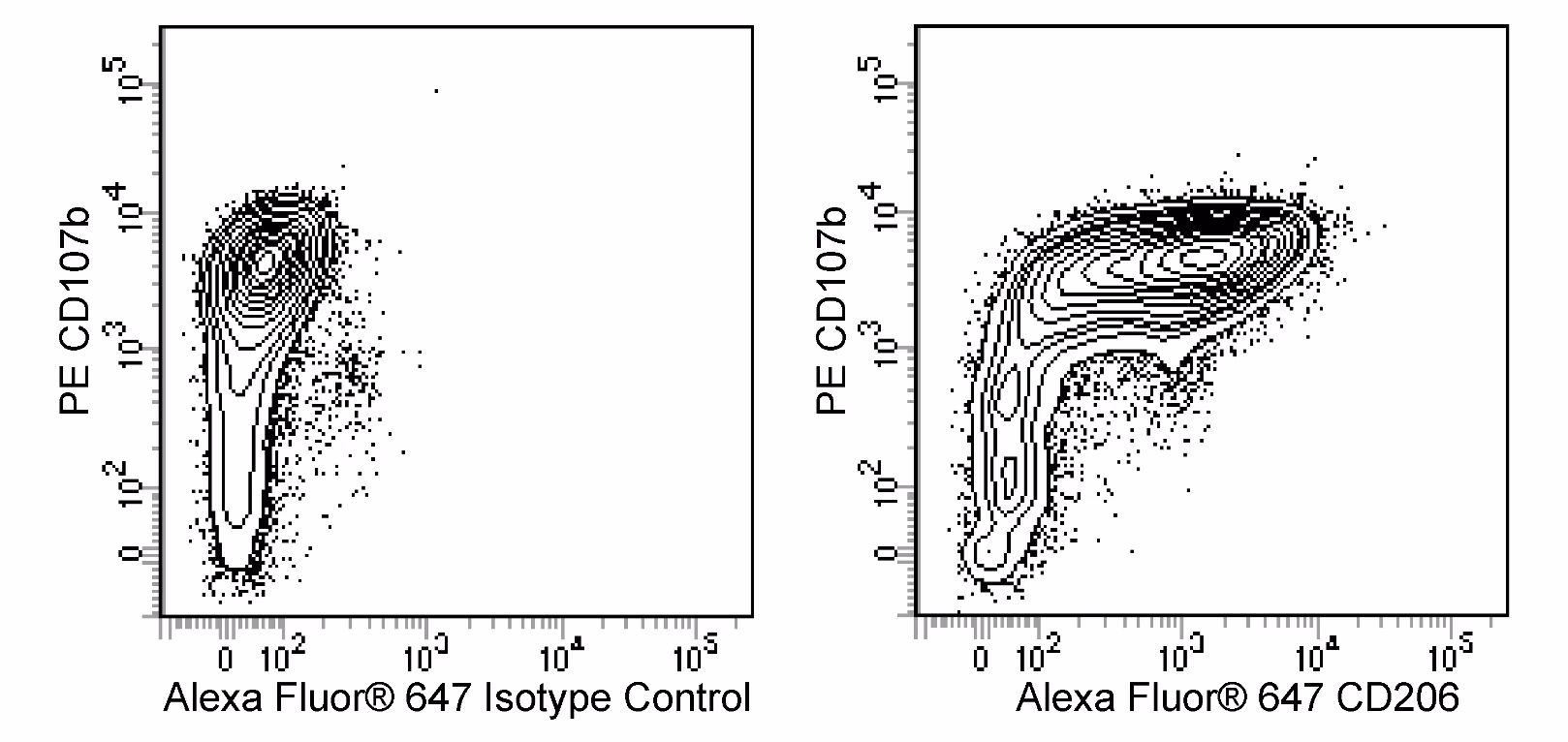 Ms CD206 Alexa 647 MR5D3 25ug