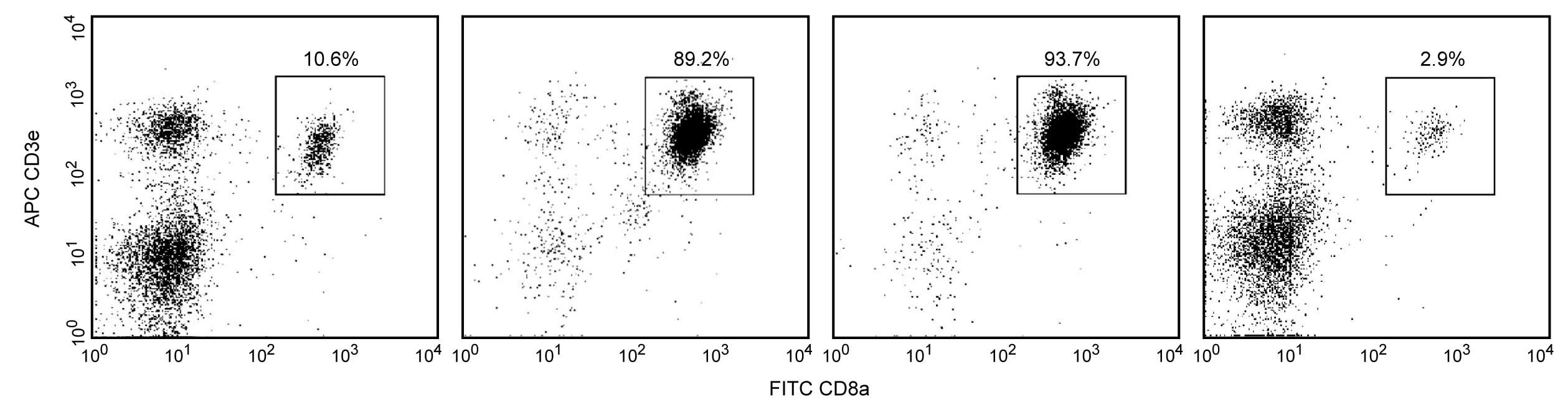 Mouse CD8 T Lymphocyte Enrichment Set - DM