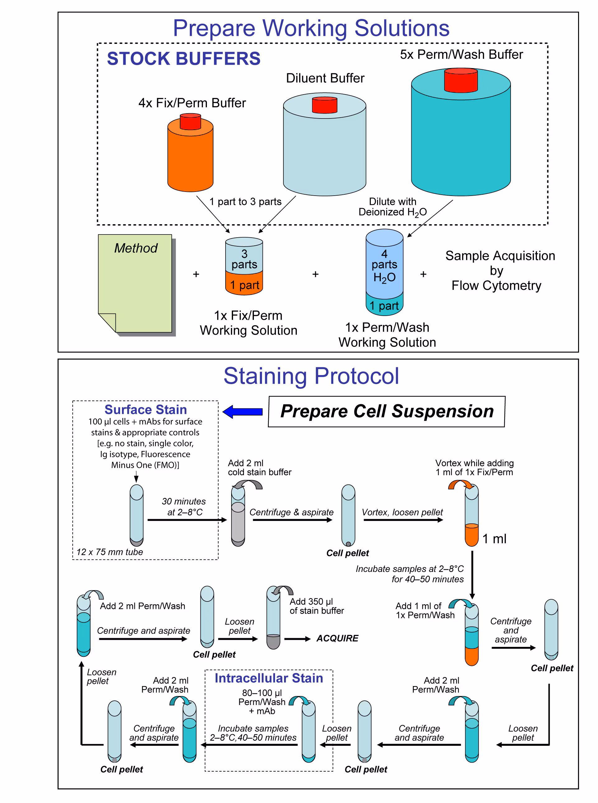Transcription Factor Buffer Set 25Tst