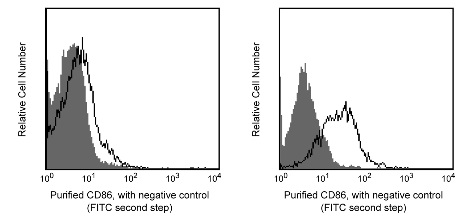 Purified Rat Anti-Mouse CD86(GL1)