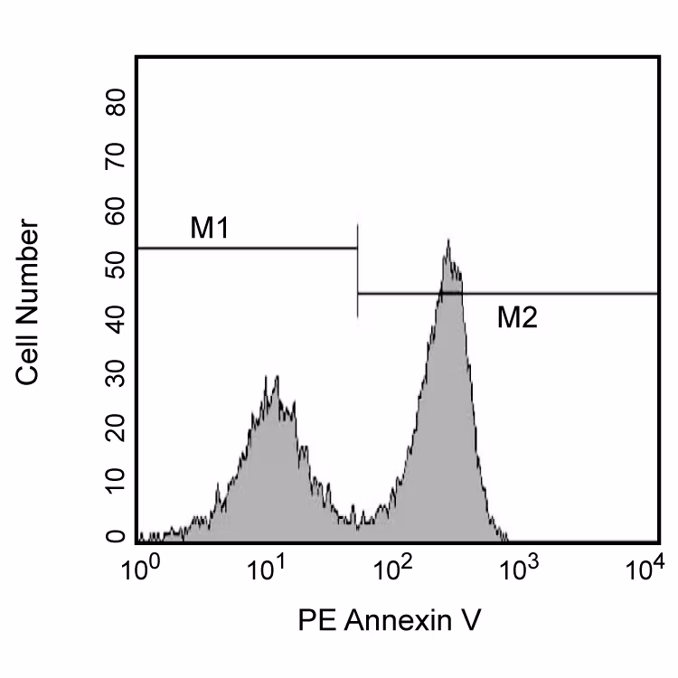 Annexin V PE Apop Dtec Kit 100Tst