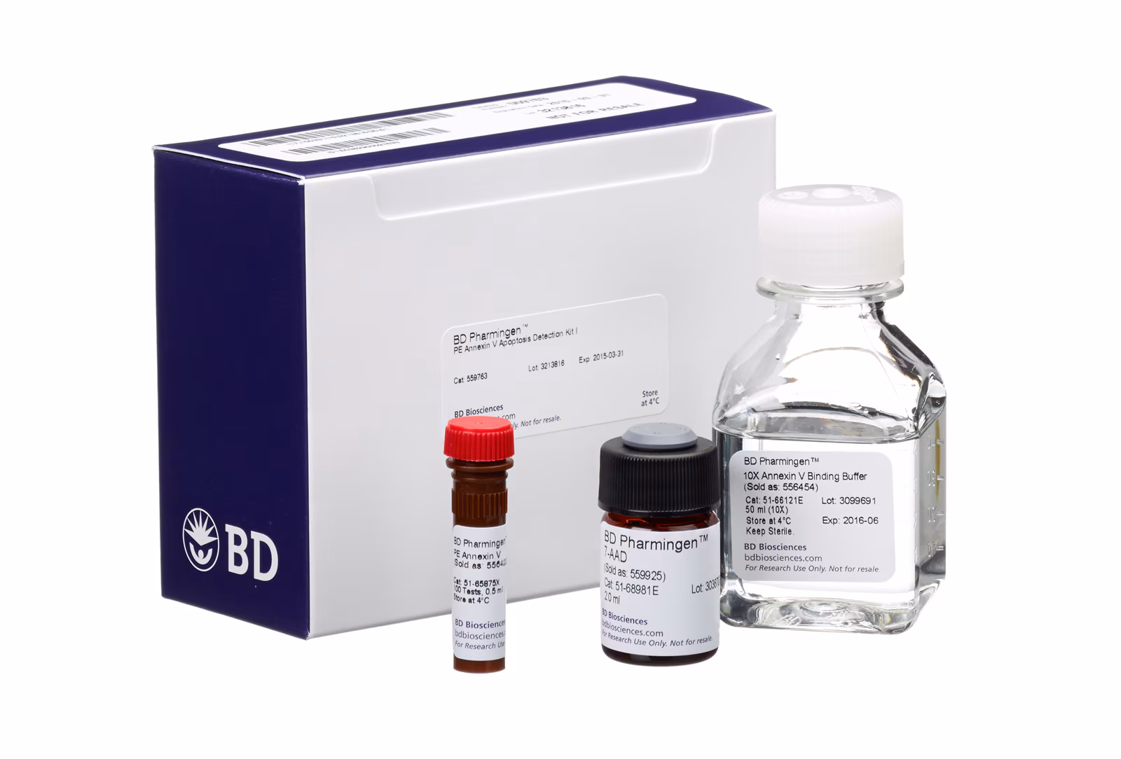 Annexin V PE Apop Dtec Kit 100Tst