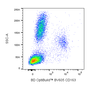 Hu CD163 BV605 GHI/61 50ug