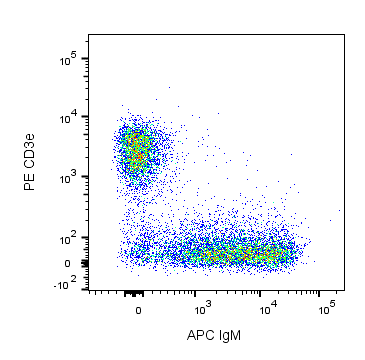Ms IgM APC II/41 25ug