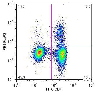 FoxP3 Staining Kit - PE FoxP3, CD4, CD25