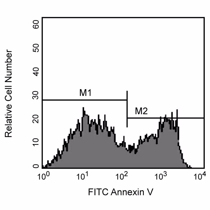 Annexin V FITC Apop Dtec Kit I 100Tst
