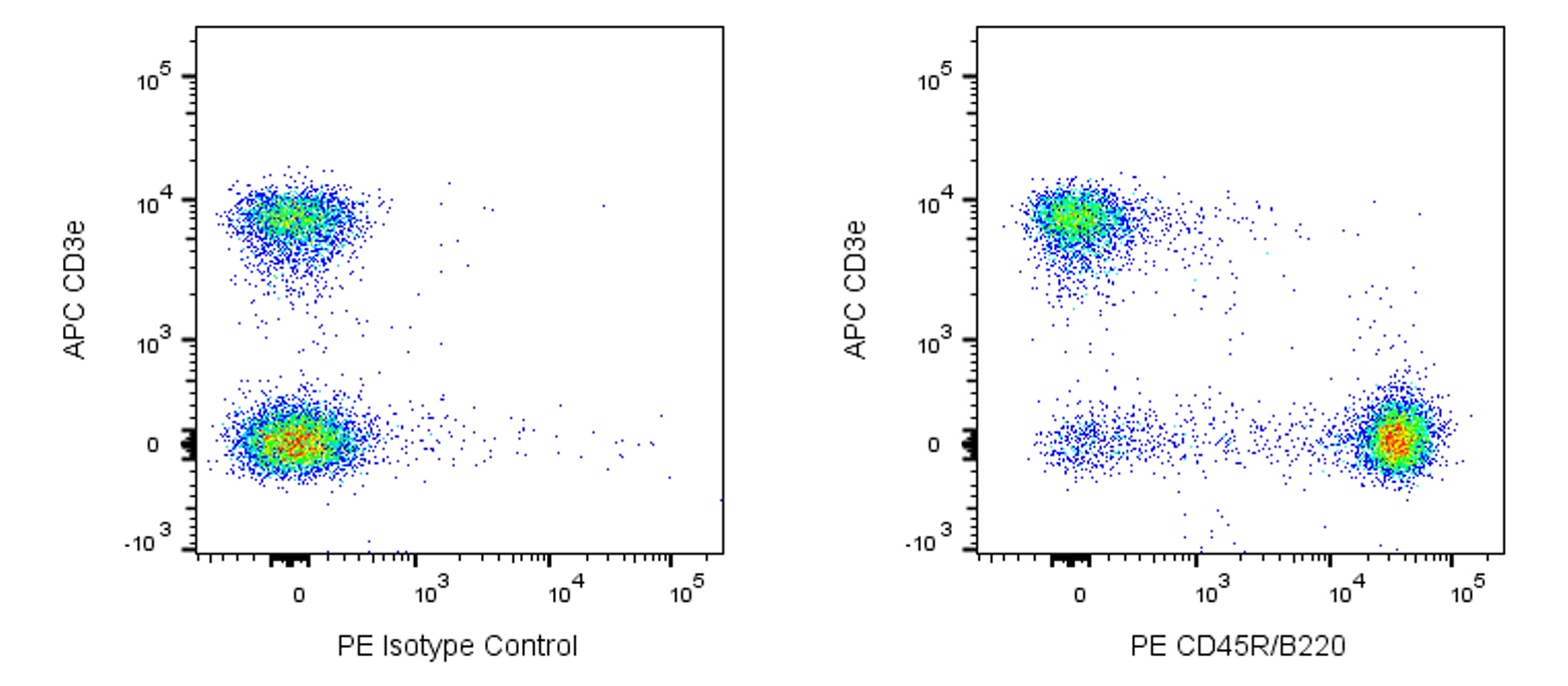 PE Rat Anti-Mouse CD45R/B220(RA3-6B2)