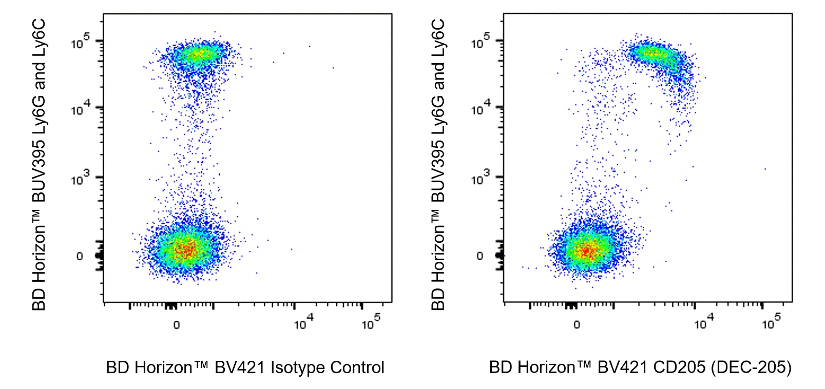 Ms CD205 (DEC-205) BV421 NLDC-145