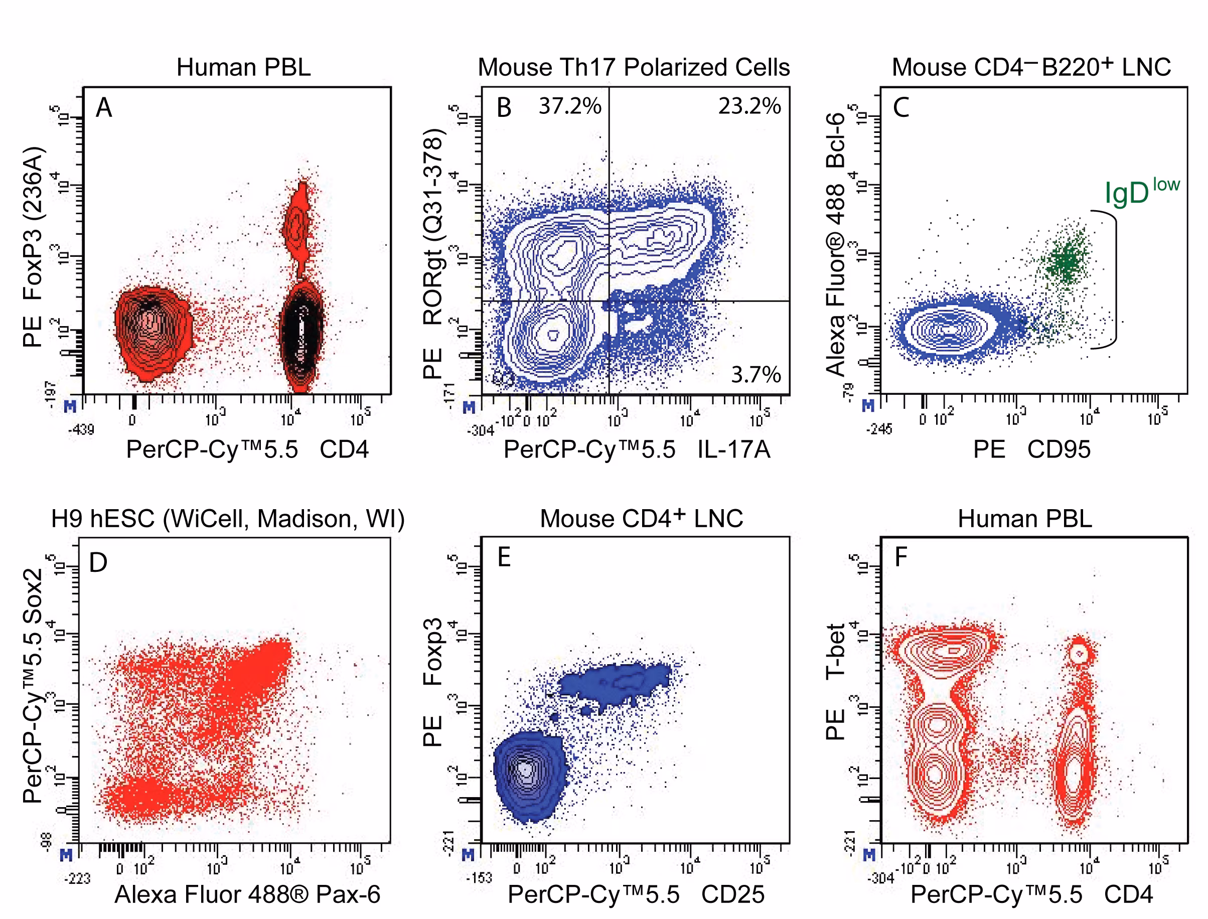 Transcription Factor Buffer Set 25Tst