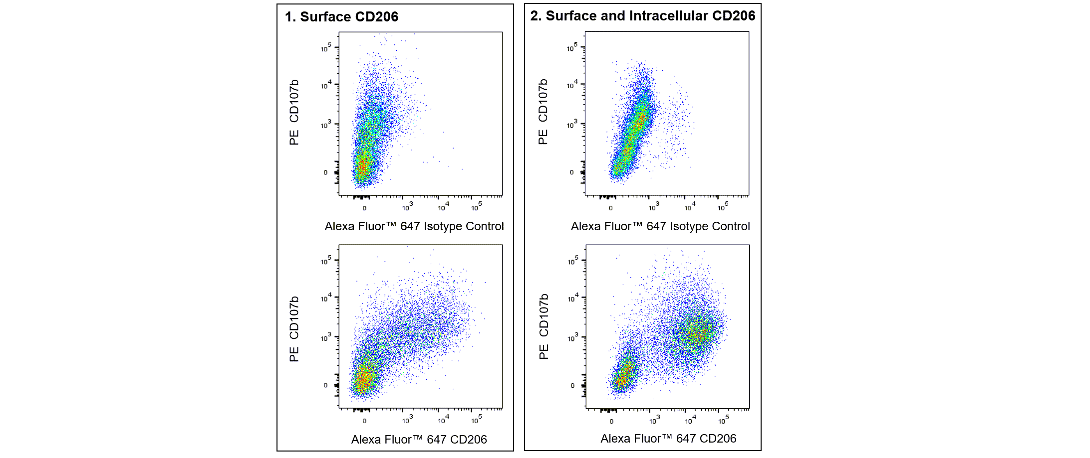 Ms CD206 Alexa 647 Y17-505