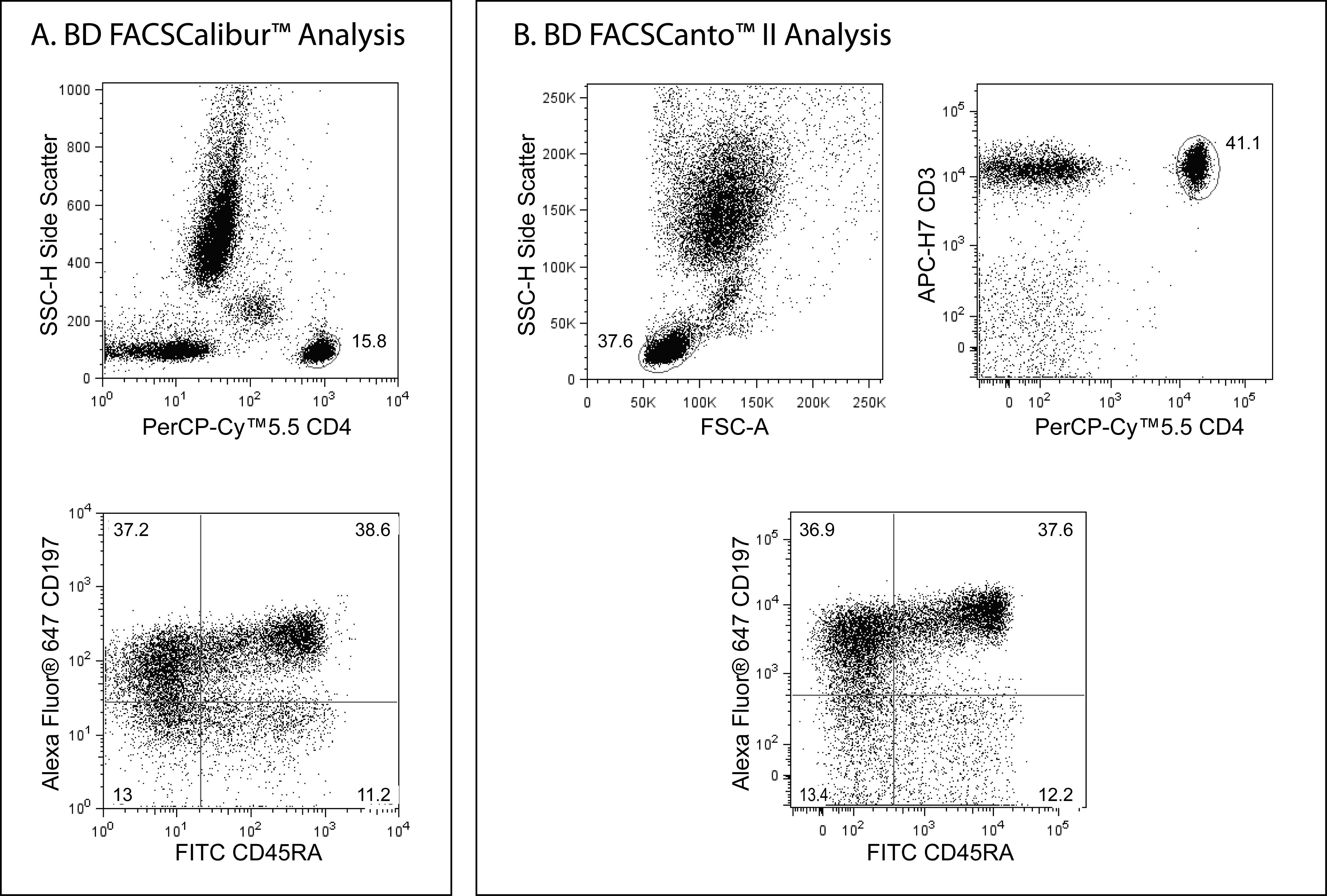 Human Naive/Memory T Cell Panel