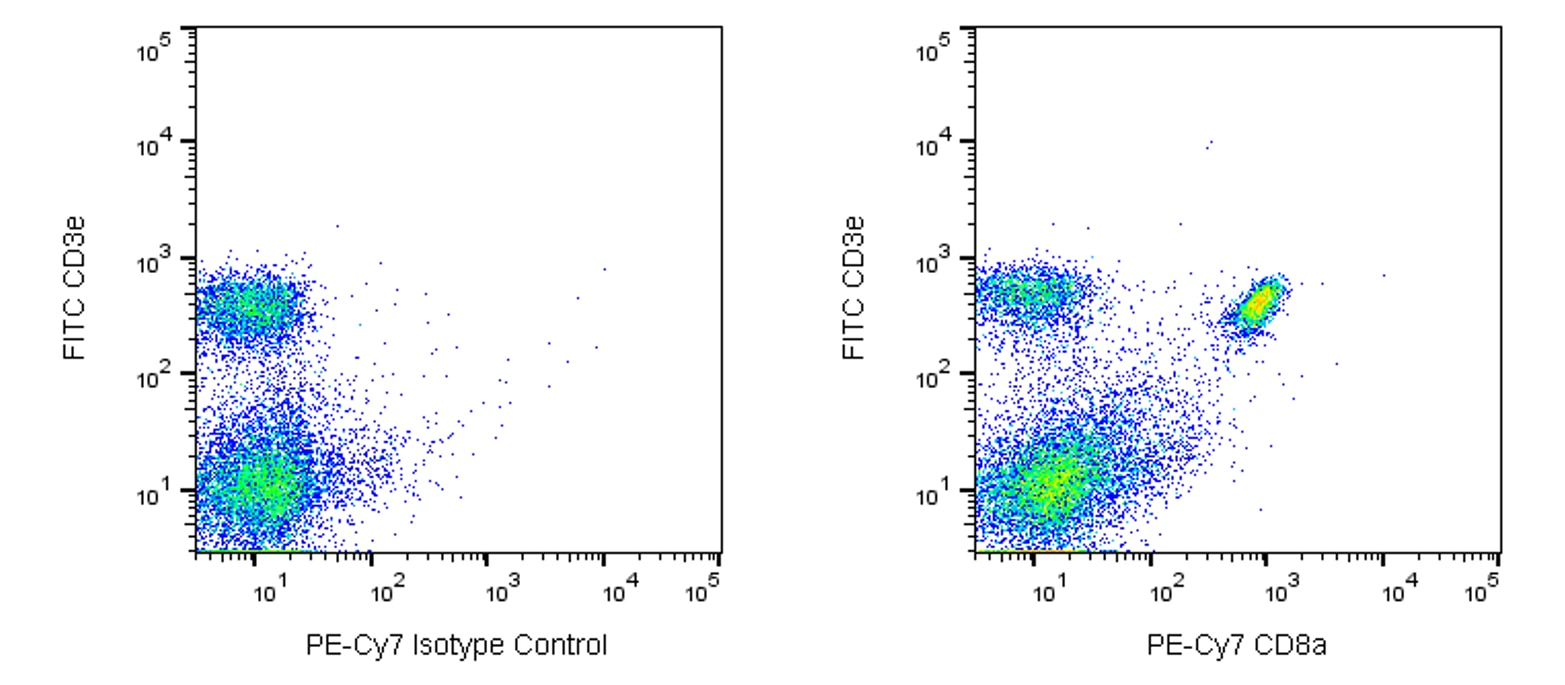 PE-Cy7 Rat Anti-Mouse CD8a(53-6.7)