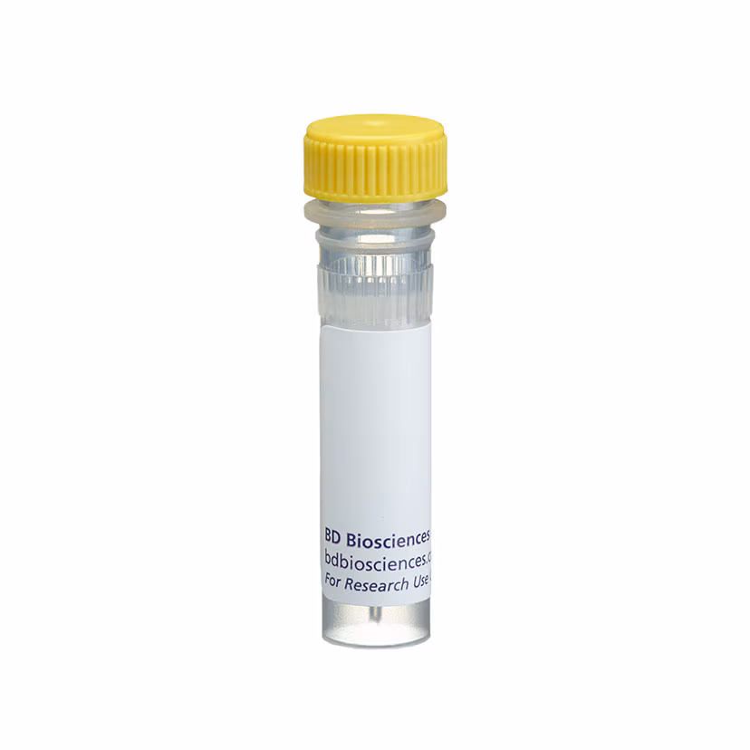 BD Pharmingen™ Ascites Mouse Anti-PARP
