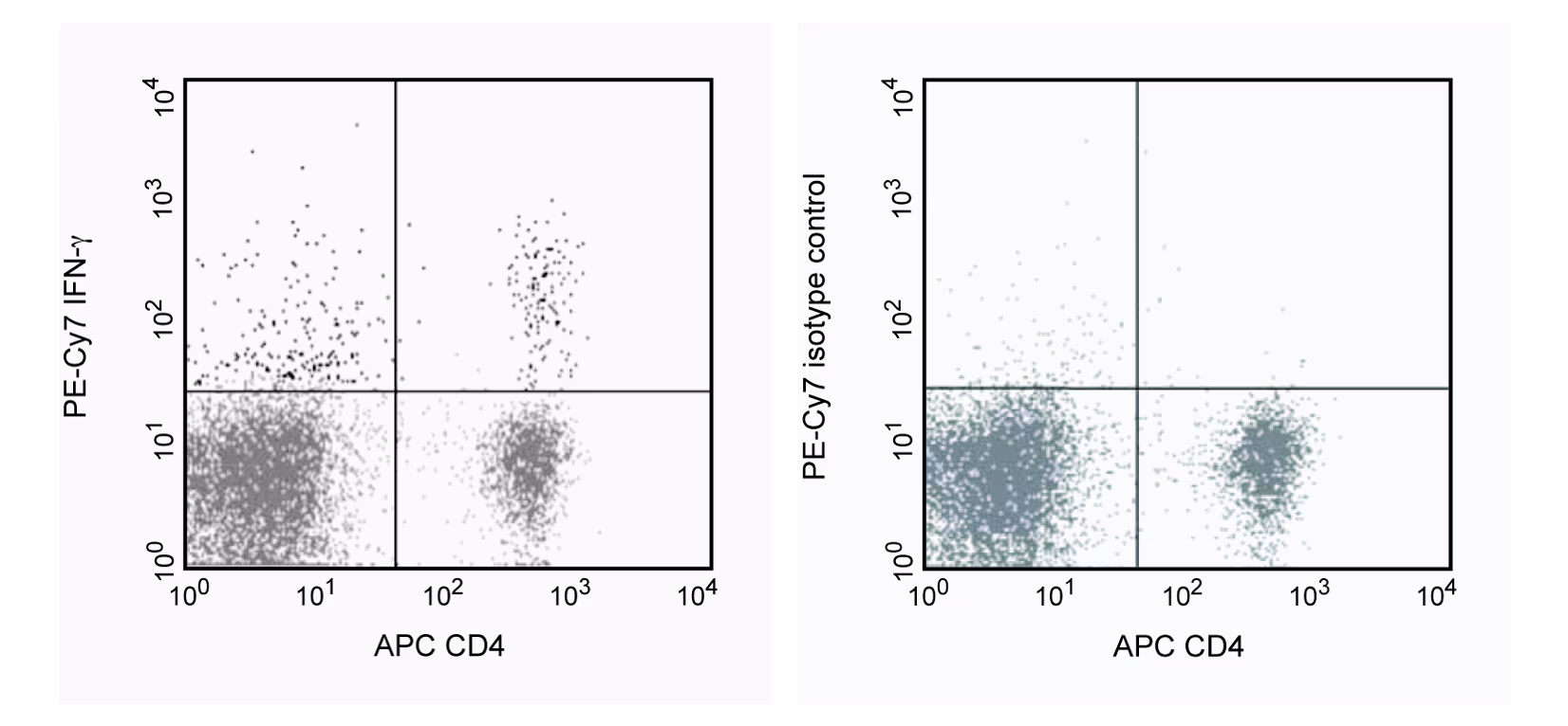 BD Pharmingen™ PE-Cy™7 Rat Anti-Mouse IFN-γ