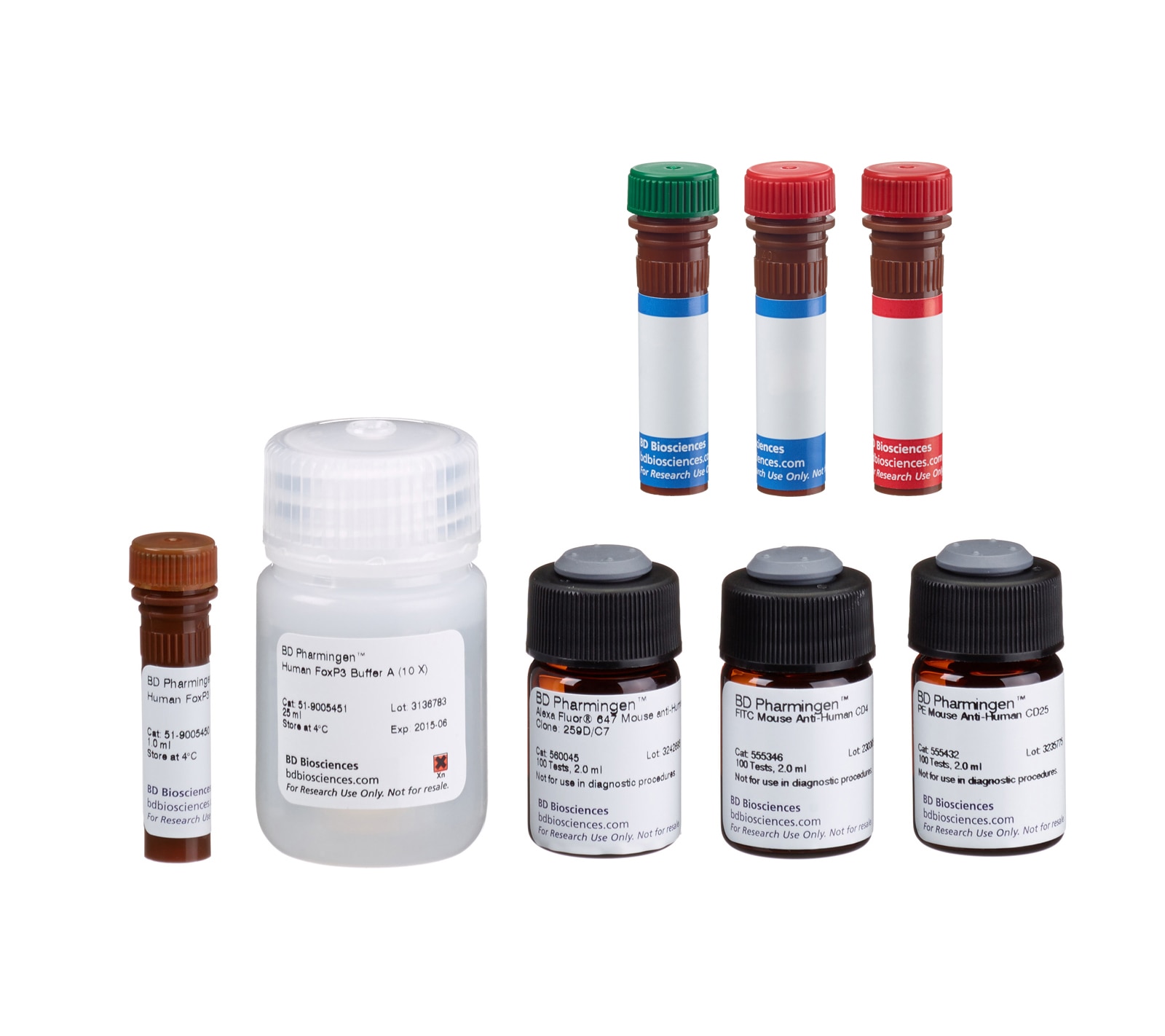 FoxP3 Staining Kit - Alexa Fluor 488 FoxP3, CD4, CD25