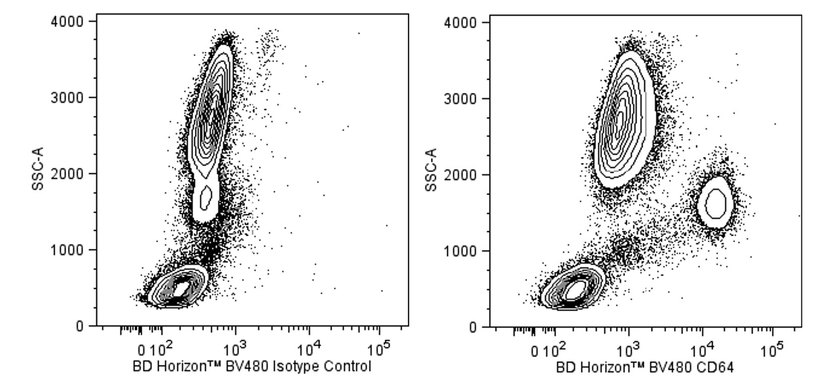 BV480 Mouse Anti-Human CD64(10.1)