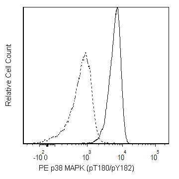 PE Mouse Anti-p38 MAPK (pT180/pY182)(36/p38 (pT180/pY182))