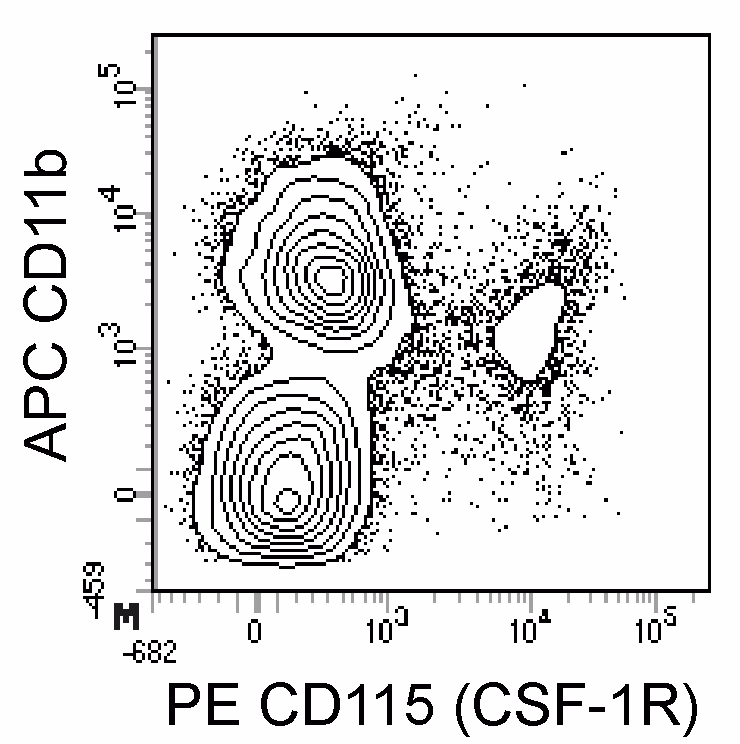 Ms CD115 (CSF-1R) PE T38-320 100ug