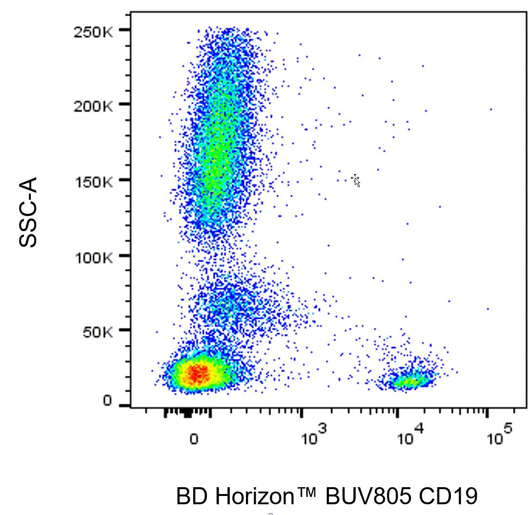 Hu CD19 BUV805 HIB19 50ug