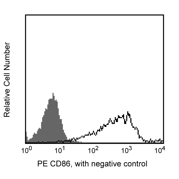 Ms CD86 PE GL1 25ug