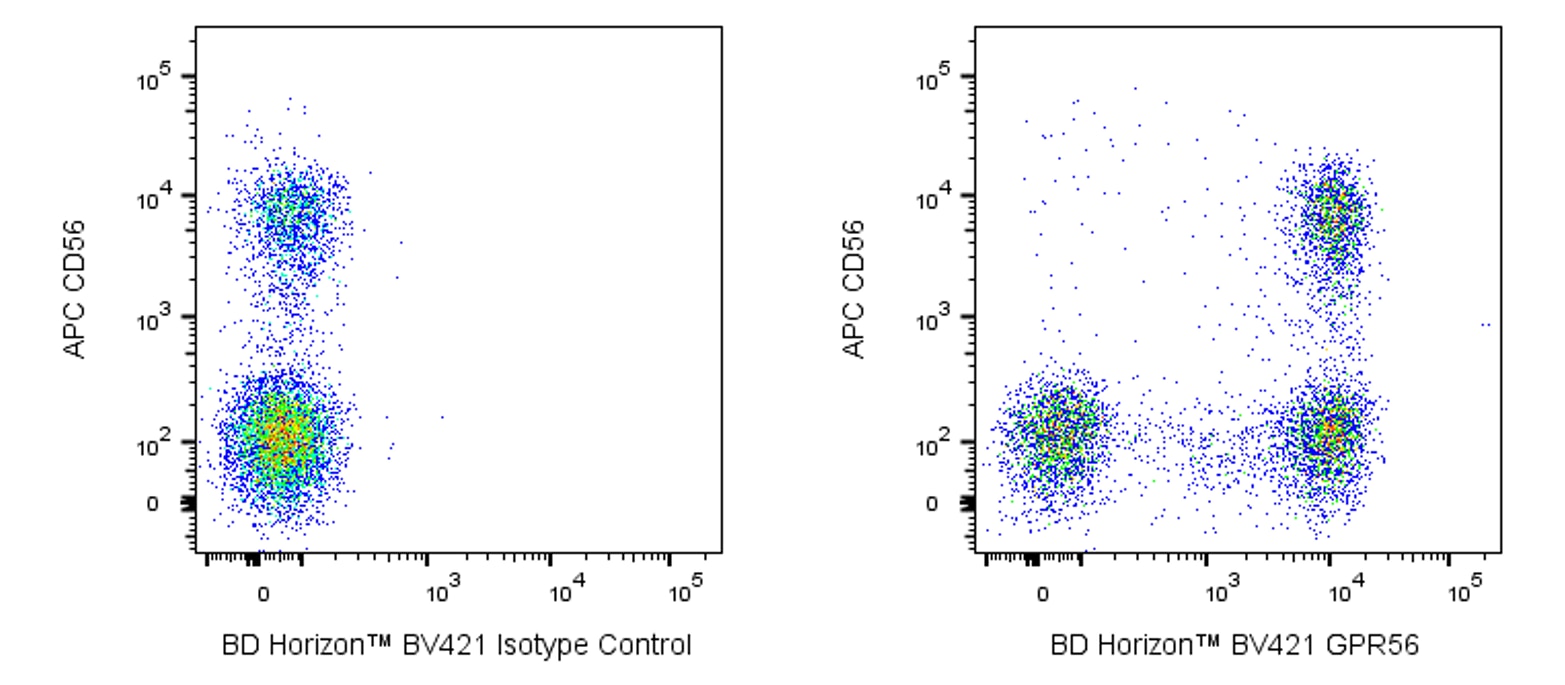 BD Pharmingen_BV421 Mouse Anti-Human GPR56(CG4.rMAb)_优宁维(univ)商城