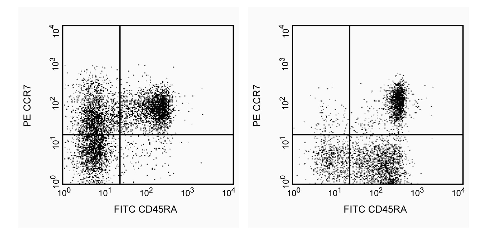 PE Rat Anti-Human CCR7 (CD197)(3D12)