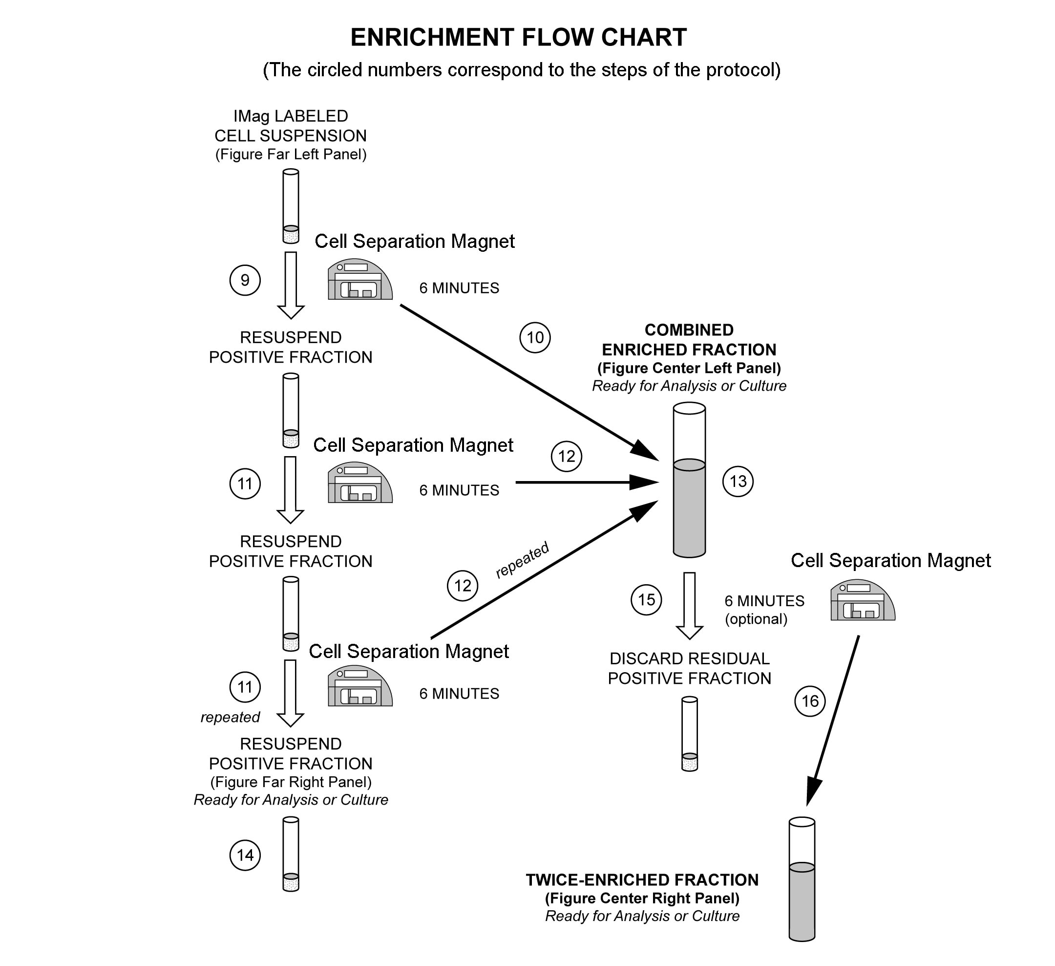 Human Naive CD4 T Cell Enrichment Set - DM