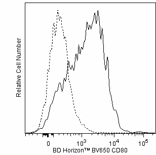 Ms CD80 BV650 16-10A1 50ug