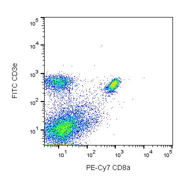 Ms CD8a PE-Cy7 53-6.7 100ug