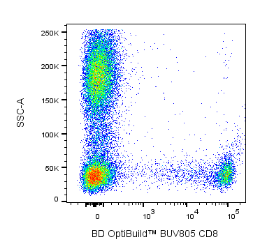 Hu CD8 BUV805 RPA-T8 50ug