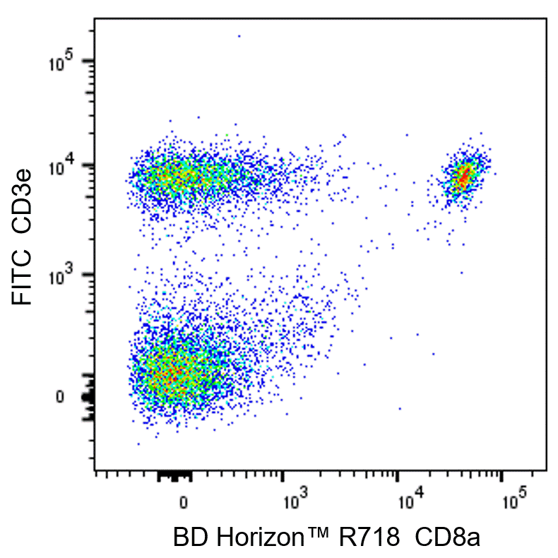 Ms CD8a R718 53-6.7 50ug