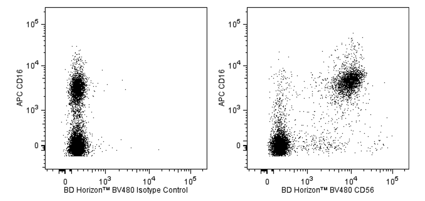 BV480 Mouse Anti-Human CD56(NCAM16.2 )