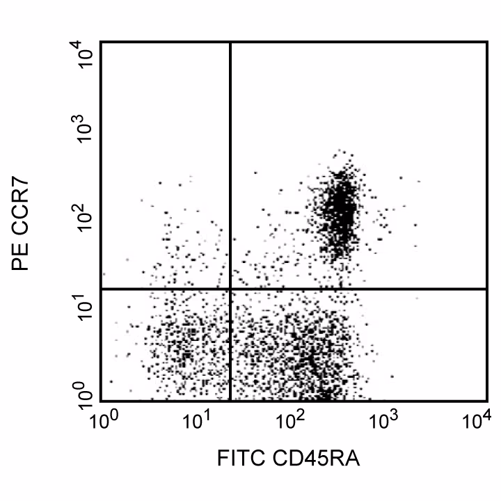 Hu CCR7 (CD197) PE 3D12 100Tst