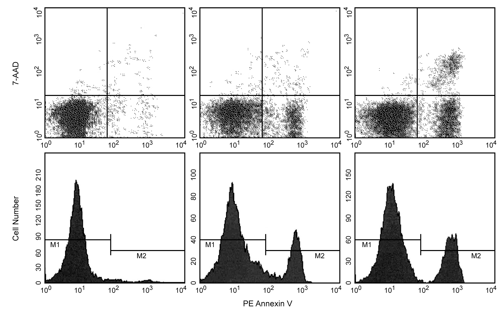 PE Annexin V