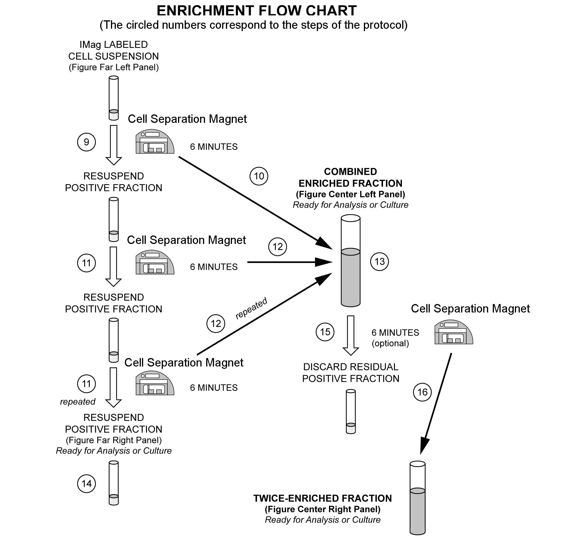 Human CD8 T Lymphocyte Enrichment Set-DM