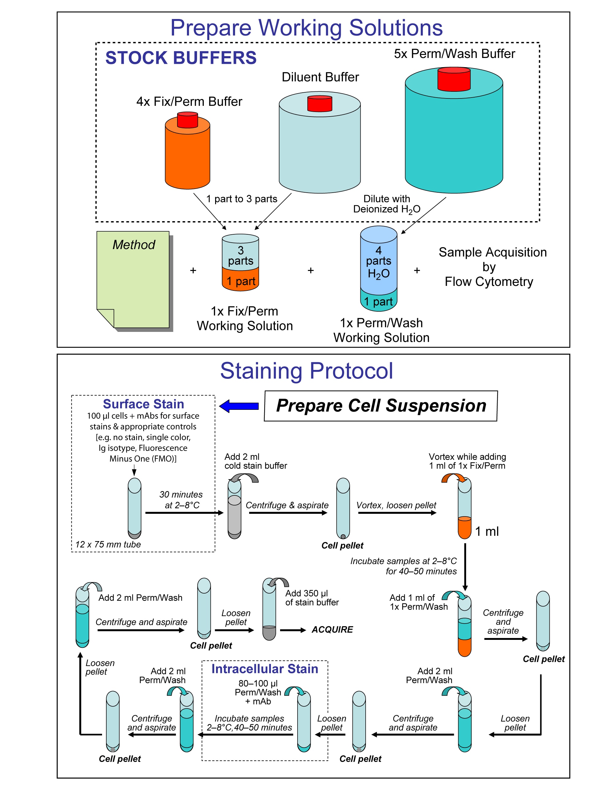 Transcription Factor Buffer Set