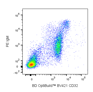 Rat CD32 BV421 D34-485 50ug