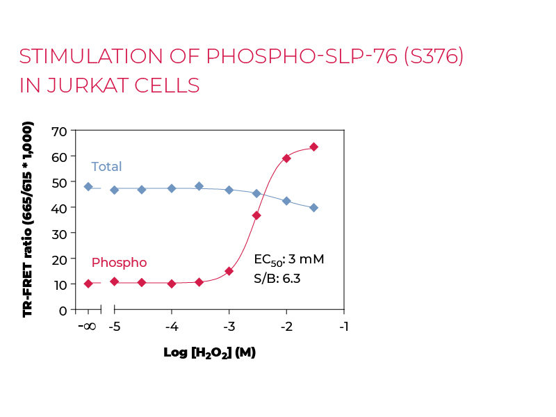 Stimulation of Phospho-SLP-76 (S376) in Jurkat cells Stimulation of Phospho-SLP-76 (S376) in Jurkat cells