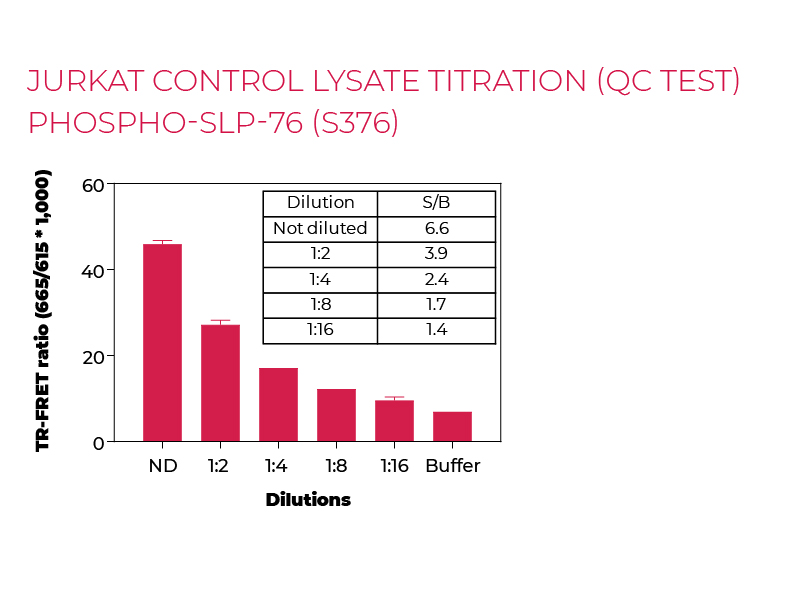 Jurkat control lysate titration (QC Test) Phsopho-SLP-76 (S376) Jurkat control lysate titration (QC Test) Phsopho-SLP-76 (S376)