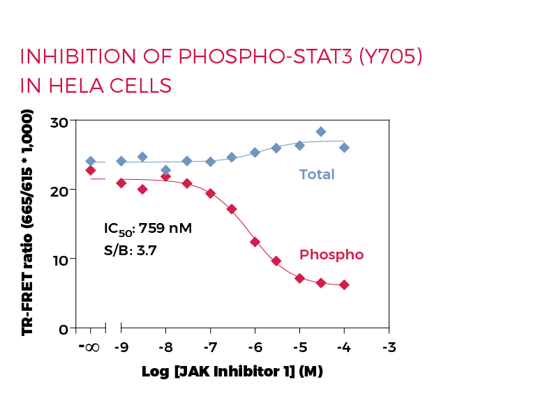 Inhibition of Phospho-STAT3 (Y705) in HeLa cells Inhibition of Phospho-STAT3 (Y705) in HeLa cells