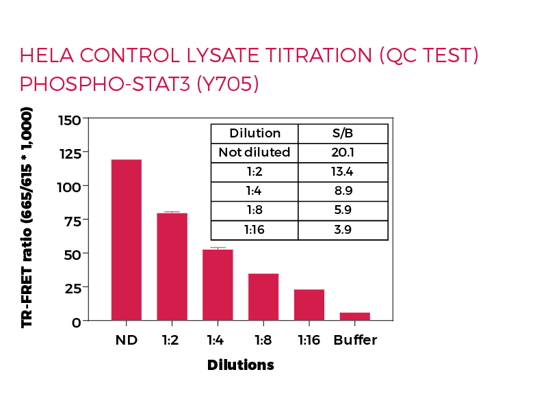 HeLa control lysate titration (QC Test) Phospo-STAT3 (Y705) HeLa control lysate titration (QC Test) Phospo-STAT3 (Y705)