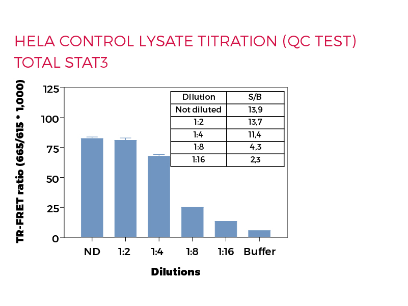 HeLa control lysate titration (QC Test) Total STAT3 HeLa control lysate titration (QC Test) Total STAT3