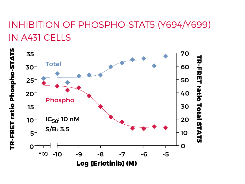 Inhibition of Phospho-STAT5 (Y694/Y699) in A431 cells Inhibition of Phospho-STAT5 (Y694/Y699) in A431 cells