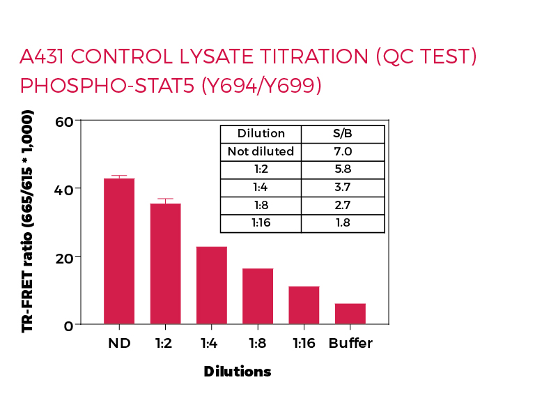 A431 control lysate titration (QC Test) Phospho-STAT5 (Y694/Y699) A431 control lysate titration (QC Test) Phospho-STAT5 (Y694/Y699)
