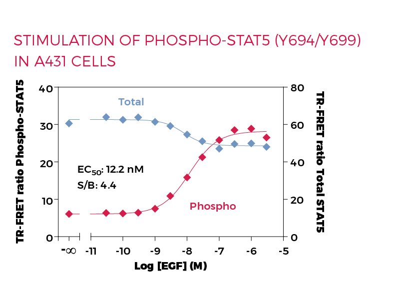 Stimulation of Phospho-STAT5 (Y694/Y699) in A431 cells Stimulation of Phospho-STAT5 (Y694/Y699) in A431 cells
