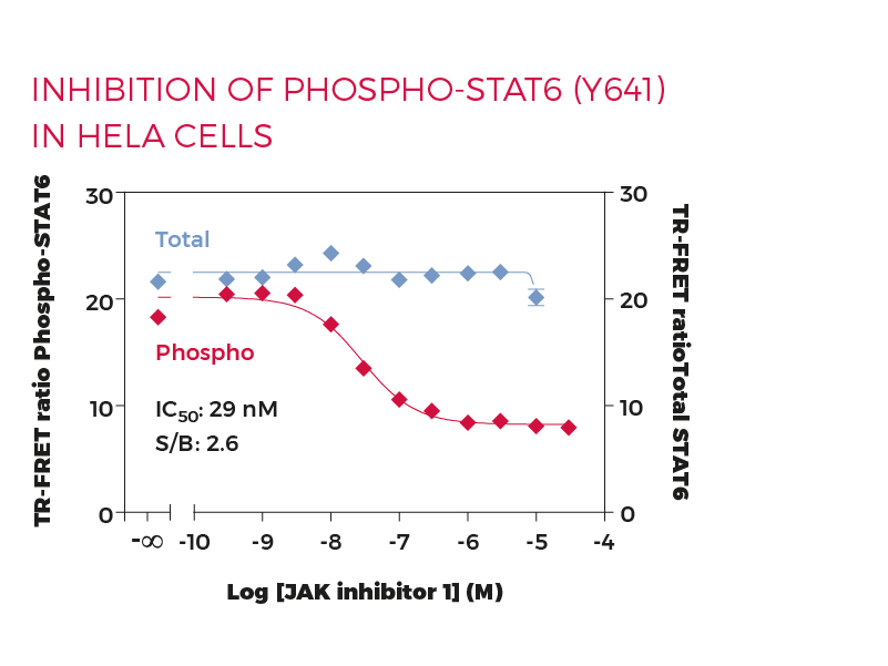 Inhibition of Phospho-STAT6 (Y641) in HeLa cells Inhibition of Phospho-STAT6 (Y641) in HeLa cells