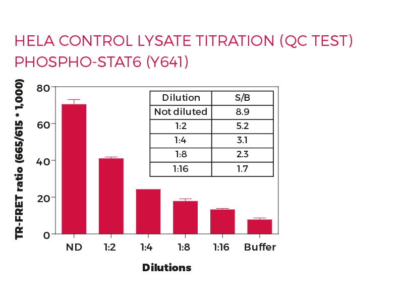 HeLa control lysate titration (QC Test) Phospho-STAT6 (Y641 HeLa control lysate titration (QC Test) Phospho-STAT6 (Y641